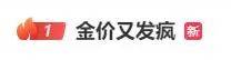 “金价又发疯”上热搜！国际金价深夜再创新高，足金饰品已冲到761元/克，有人9个月赚了10万元，接下来还能涨吗？-第3张图片