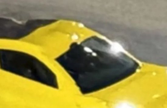 疑似“特斯拉Robotaxi谍照”浮出水面-第4张图片