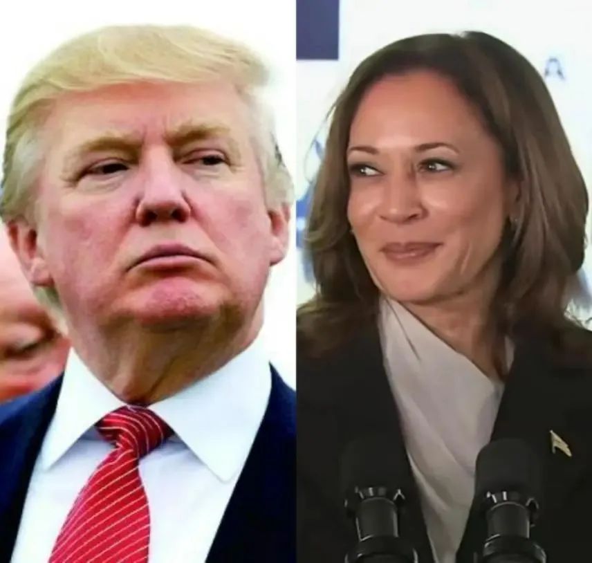 哈里斯-沃尔兹组合何以取胜美国大选？——基于组合人选与演讲语言视角的策略性分析-第1张图片