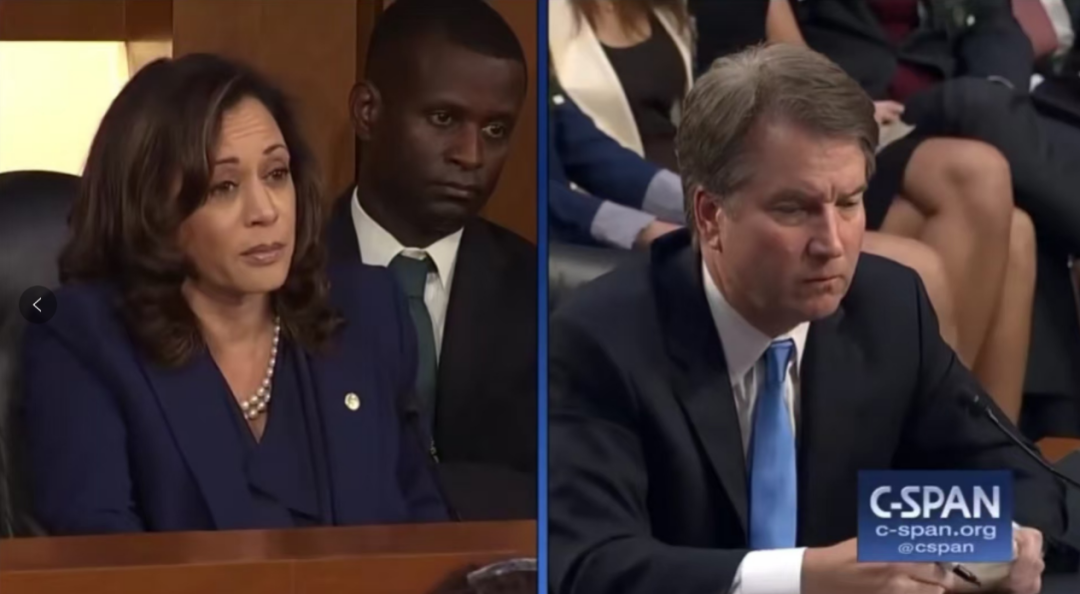 哈里斯-沃尔兹组合何以取胜美国大选？——基于组合人选与演讲语言视角的策略性分析-第4张图片