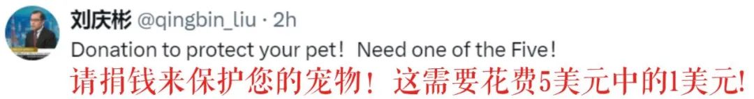 新华社《扯牌屋》上新！“上木”选总统，“花式”劝捐钱-第7张图片