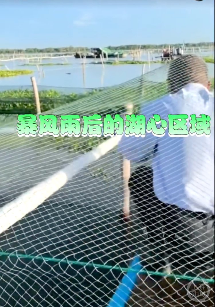 阳澄湖大闸蟹被台风集体吹“越狱”？蟹农：有些养殖场围网全倒-第2张图片