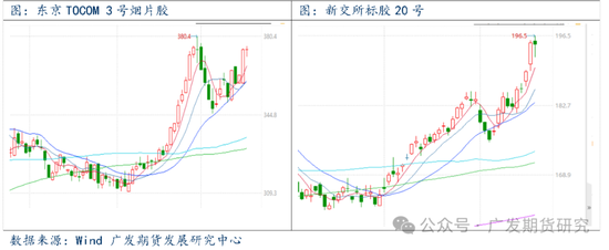 异动点评：海内外产区受台风扰动，影响原料产区，胶价大幅上行-第6张图片