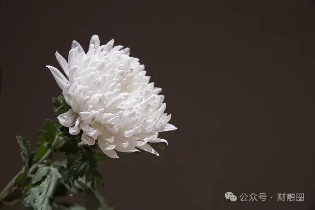 突发！上市公司57岁监事会主席去世-第1张图片