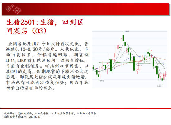 中天期货:白银降息落地继续反弹 纯碱地位震荡-第8张图片