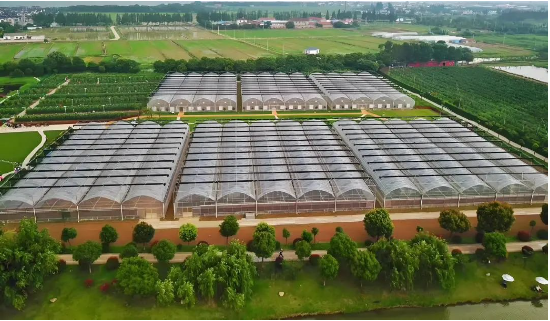 上膳源携手微盟数字化升级，引领生鲜便利消费新体验-第2张图片