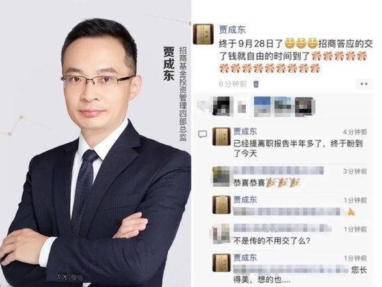 招商基金贾成东终于离职了，招商行业精选今年大涨了31%-第2张图片