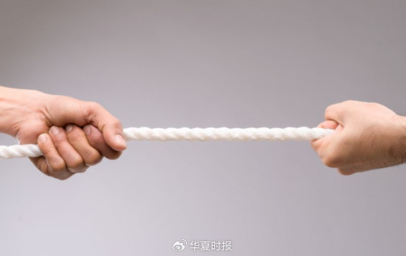 两大品类挑战戴森市场地位！追觅科技加速布局细分赛道-第1张图片