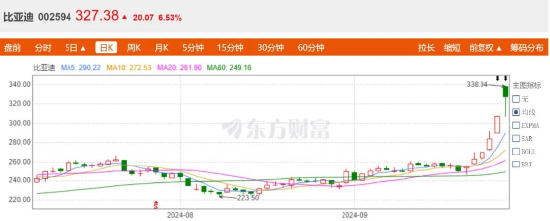 半年研发砸202亿，谁说比亚迪靠“人海战术”？-第2张图片