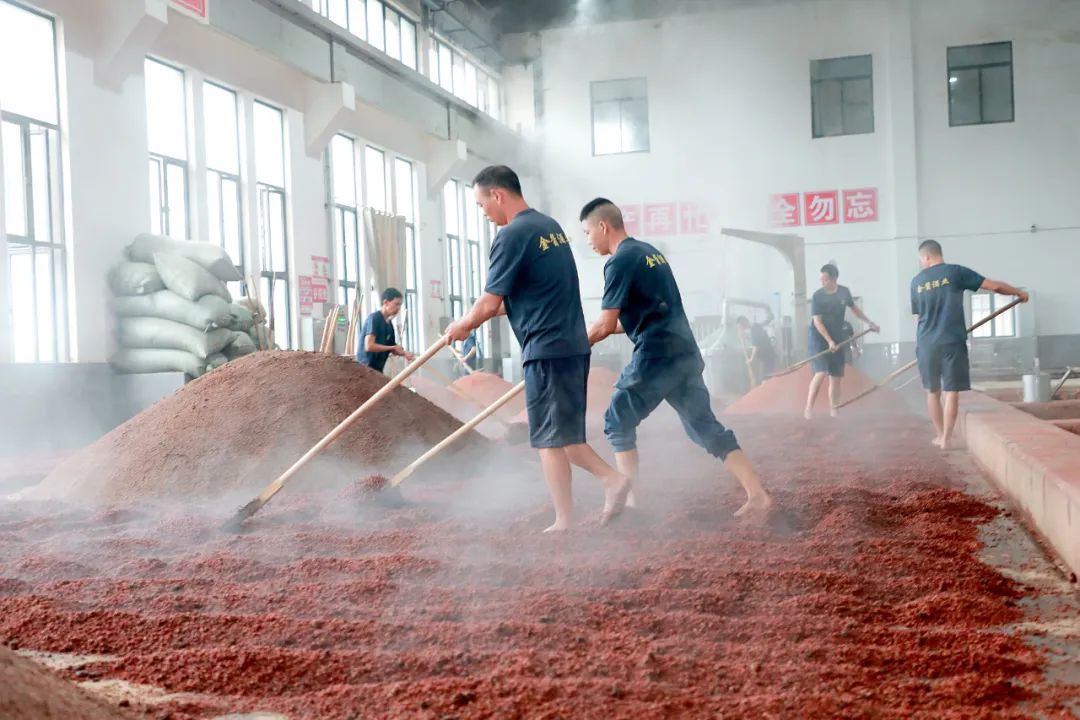 金酱火力全开！90后汪传捷接棒，“满负荷下沙”凸显增长确定性-第8张图片