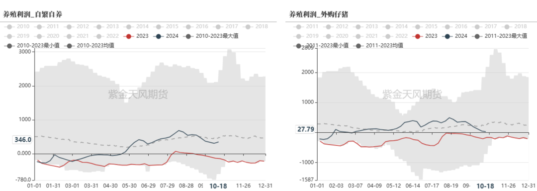 云评论 | 玉米：一点寒芒先到-第7张图片