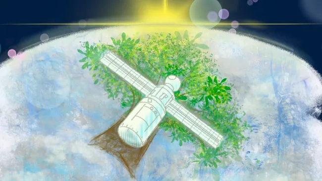 太空探索新材料，全球首颗木制卫星成功入驻国际空间站-第1张图片