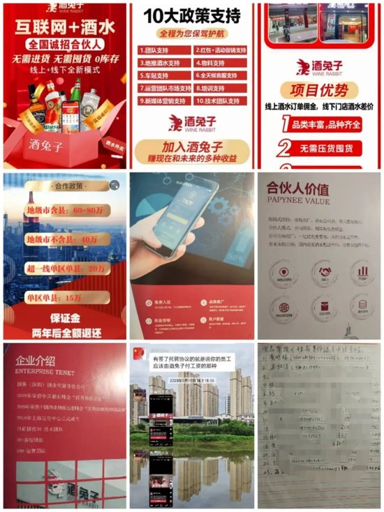 上海酒兔子，有人说你是“缅兔”，是真的吗？-第3张图片