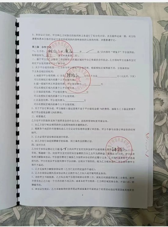 上海酒兔子，有人说你是“缅兔”，是真的吗？-第8张图片