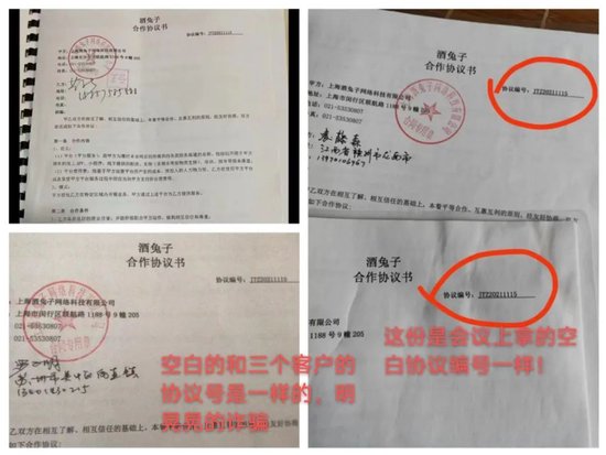 上海酒兔子，有人说你是“缅兔”，是真的吗？-第10张图片