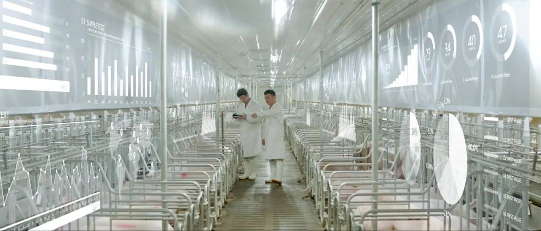 中国企业家杂志专访｜净利破百亿！牧原股份CFO高曈揭秘-第11张图片