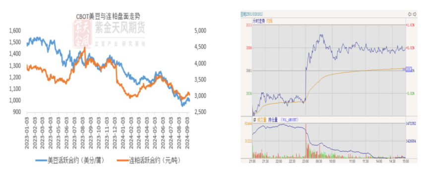 豆粕：难抓的豆粕-第3张图片