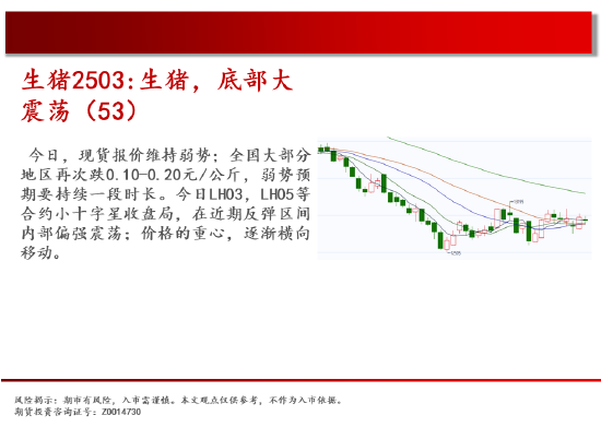 中天期货:螺纹上涨减速 棕榈重心下移-第7张图片