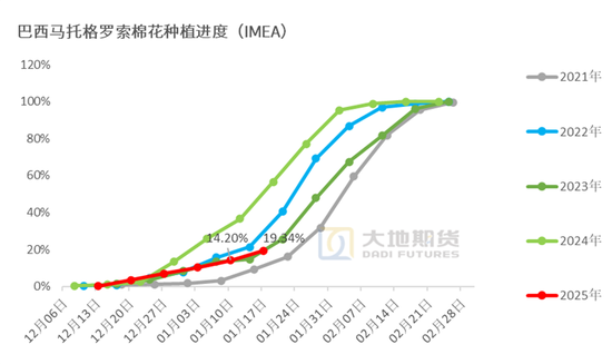 棉花：加关税威胁仍在，关注春节期间外盘对内盘指引-第80张图片