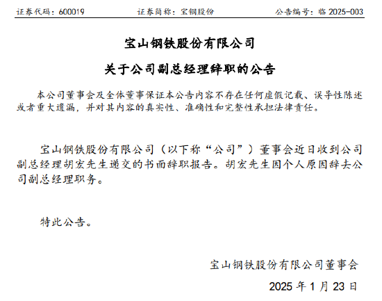 宝钢股份副总胡宏被带走调查，公司公告称因个人原因辞职-第3张图片