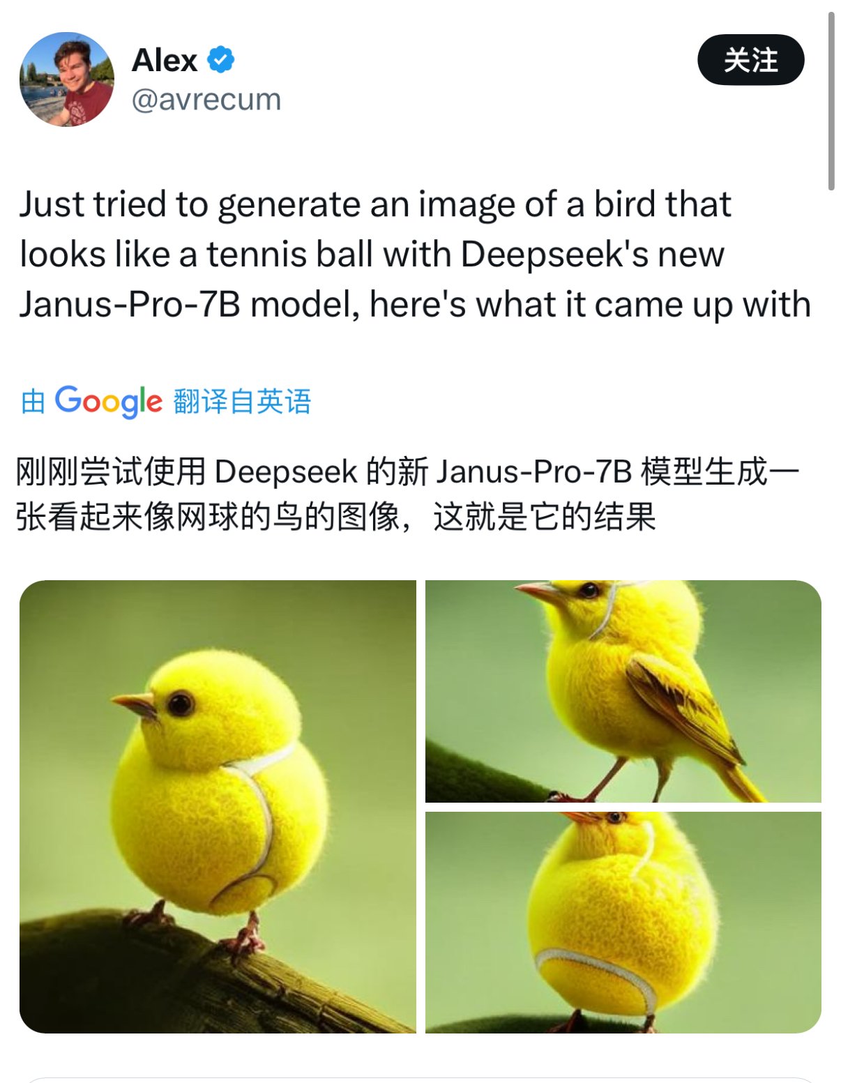 对OpenAI发起直接挑战，DeepSeek“杀入”文生图领域-第3张图片