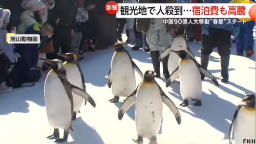 中国游客春节疯狂涌入日本，日网友感慨整个日本都在说“中国话”！-第11张图片
