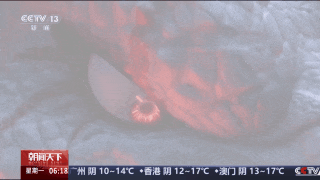 3岁男主，百亿票房-第5张图片