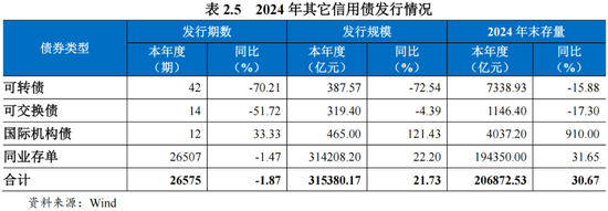 2024年债券市场发展报告-第7张图片