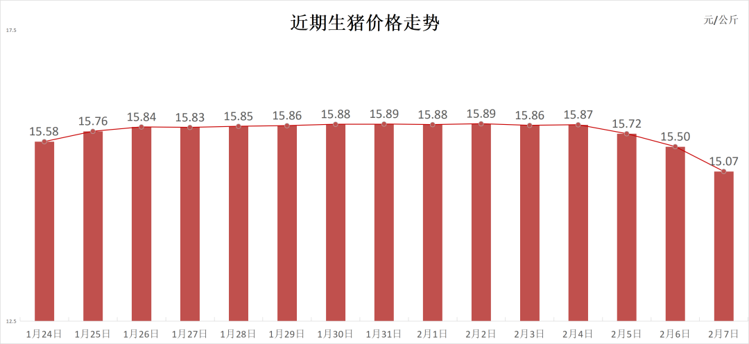 每日猪讯2.7-第3张图片