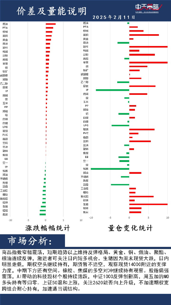 中天策略:2月11日市场分析-第2张图片