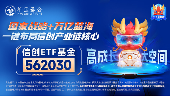 AI新主线爆发，阿里巴巴创22个月以来最大单日涨幅！DeepSeek火热，信创ETF基金（562030）再涨2.5%，地产、金融翘尾上攻-第6张图片