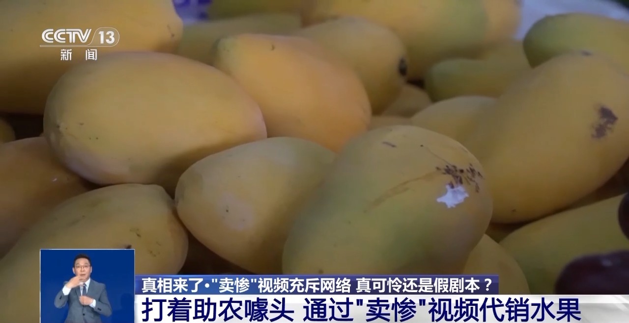 警方查处“卖惨”引流灰产链：这位“单亲爸爸”实有完整家庭-第5张图片