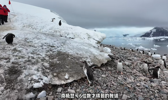 “没赔偿，感觉很亏”！数百人滞留南极，一大半是中国人！有游客称一行人多花20万元-第3张图片
