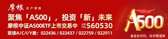 “会分红的”中证A500ETF摩根(560530)成分股东华软件、航锦科技等多股涨停，A股有望迎来新一轮上涨-第1张图片