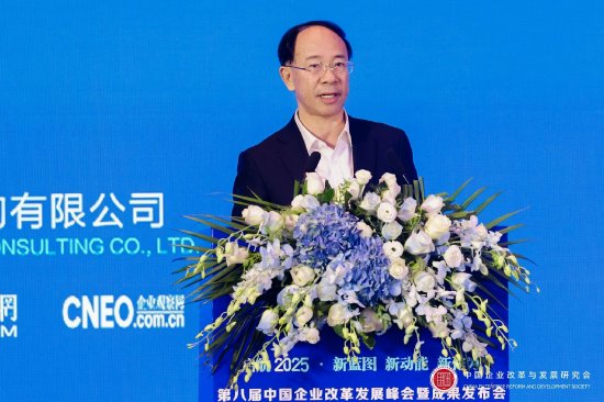 尹艳林：靠前加力，实施更加积极的财政政策-第1张图片