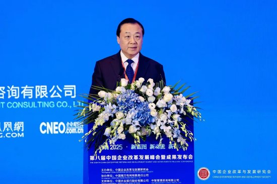 谢正义：江苏今年将实现财务监督专员制度省属企业全覆盖-第1张图片