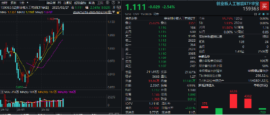 算力大调整，创业板人工智能ETF华宝（159363）全天振幅近5%！DeepSeek提振，英伟达产业链或有补涨预期-第1张图片