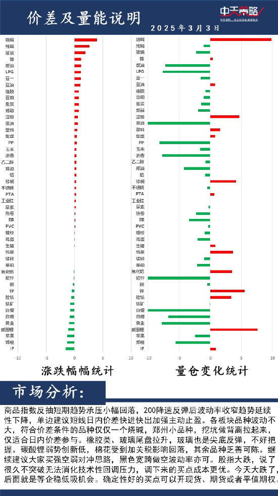 中天策略:3月3日市场分析-第2张图片